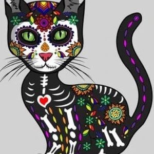 Meet your Posher, Pamela